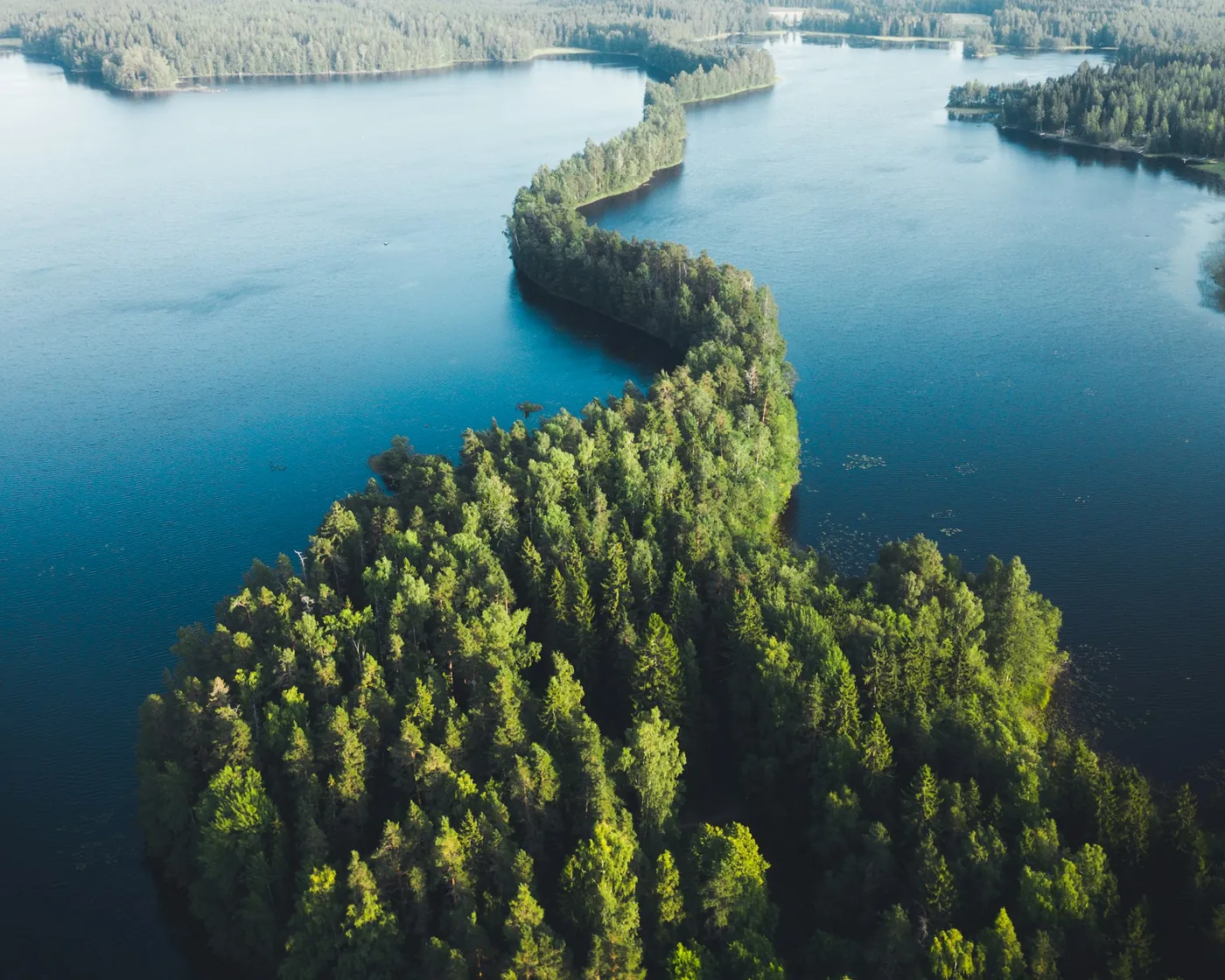 Aerial view of a Finnish lake with a pine-forested peninsula in summer light
