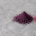 Nordic-Beeren-Starterset