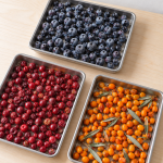 Nordic-Beeren-Starterset