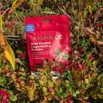 Puolukka lingonberry