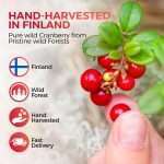 Cranberry Powder