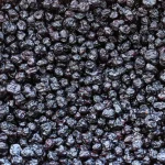 Freeze Dried Blueberry